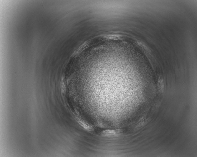 X0000080150381200612221955