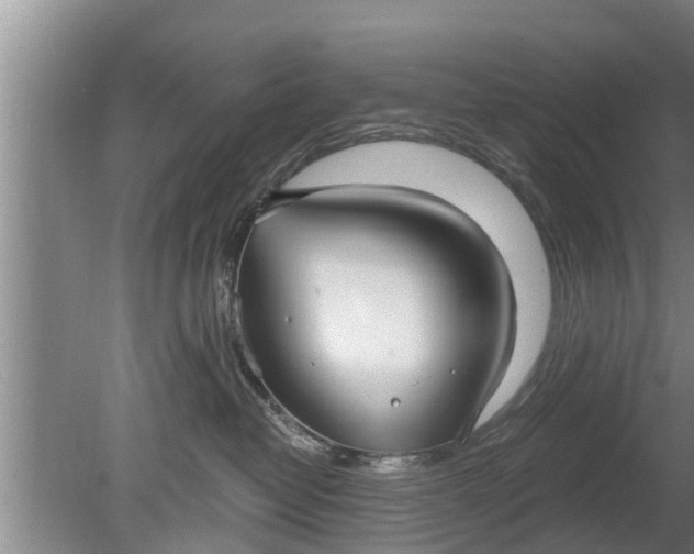 X0000080150382200612221955