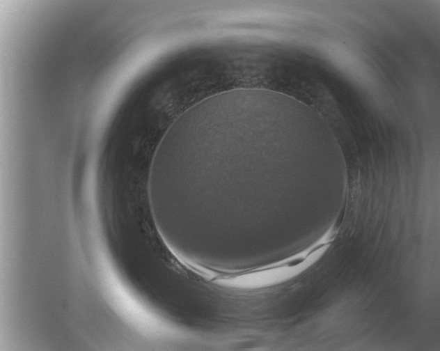 X0000080150383200612221955