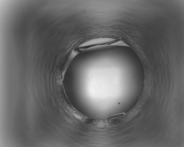 X0000080150384200612221955