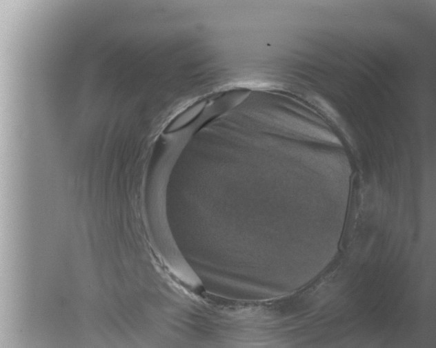 X0000080150385200612221954