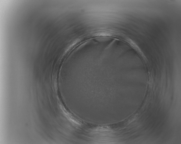 X0000080150386200612221954