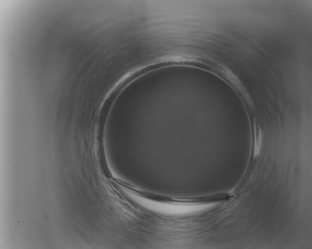 X0000080150387200612221954