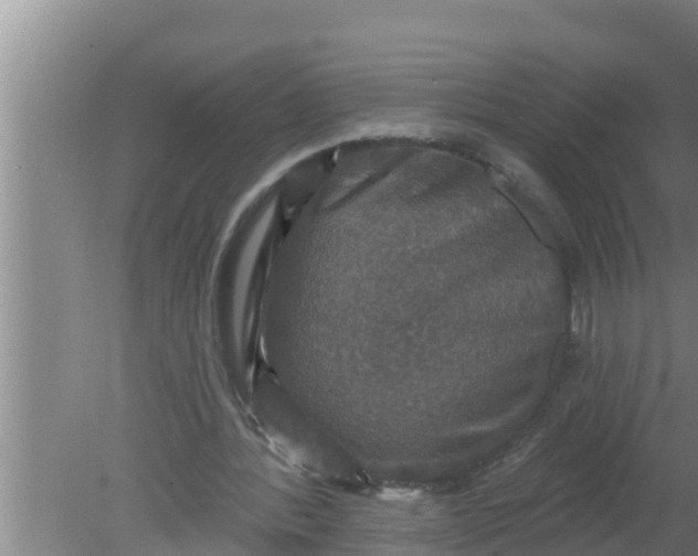 X0000080150388200612221954