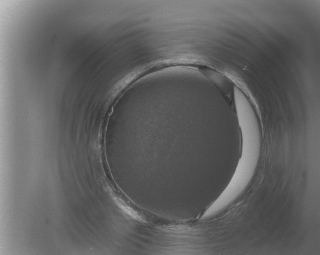 X0000080150389200612221954