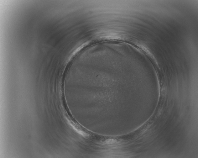 X0000080150390200612221954