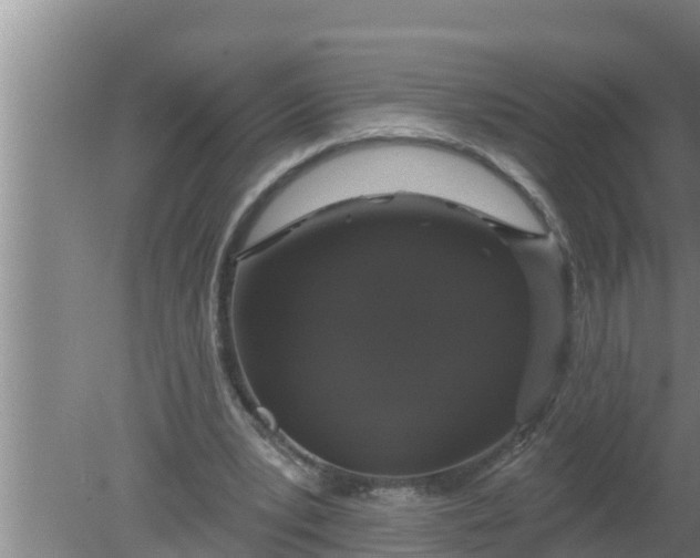 X0000080150391200612221954