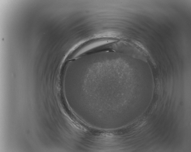 X0000080150392200612221954