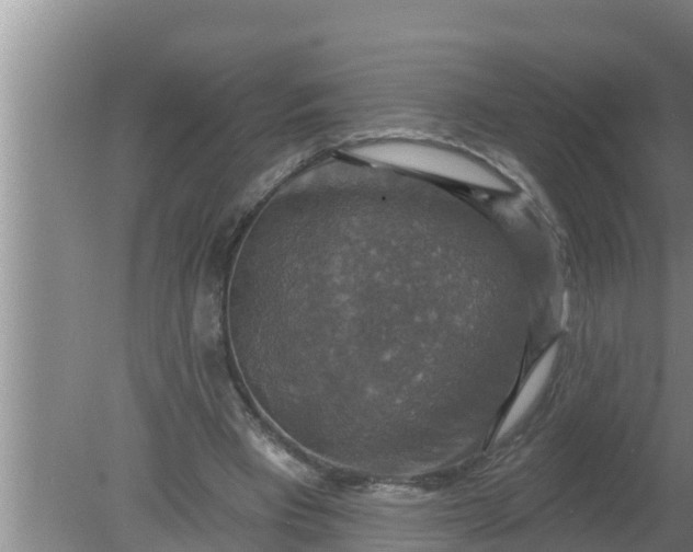 X0000080150393200612221954