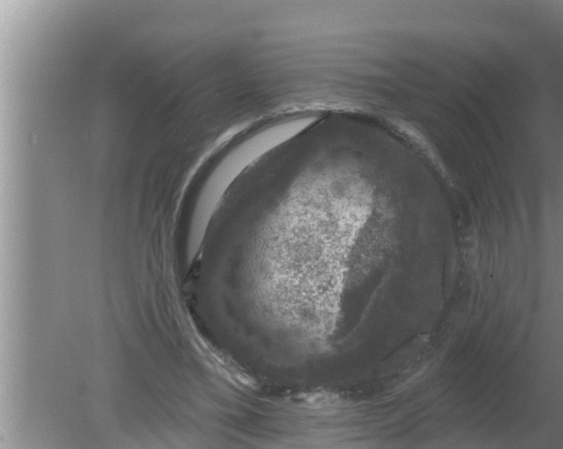 X0000080150395200612221954