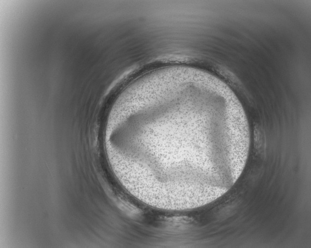 X0000080150396200612221954