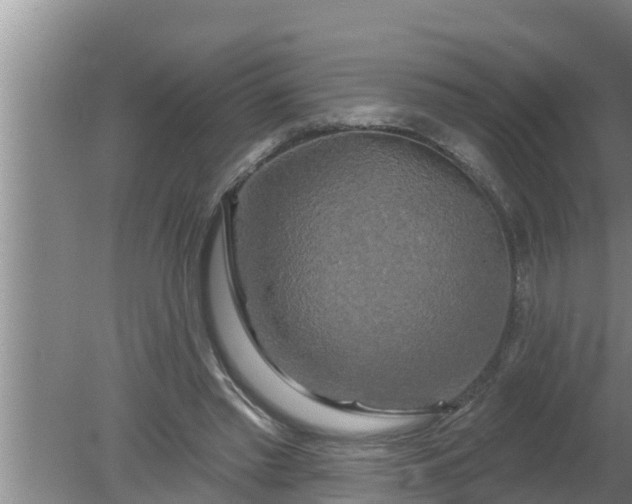 X0000080150397200612221954