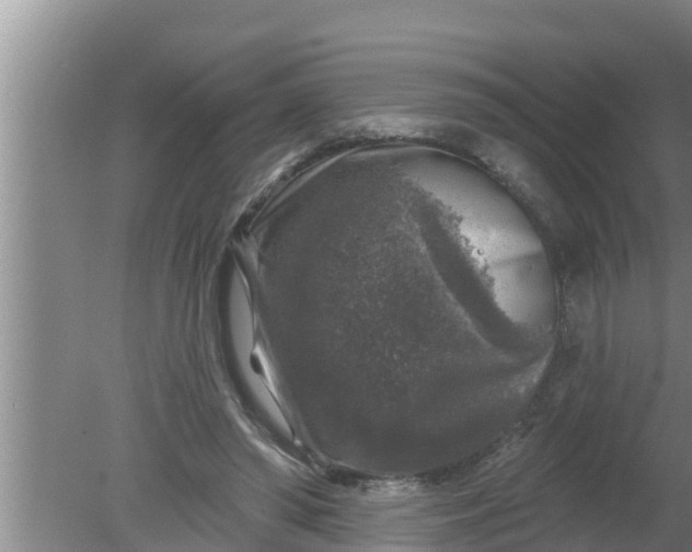 X0000080150398200612221954