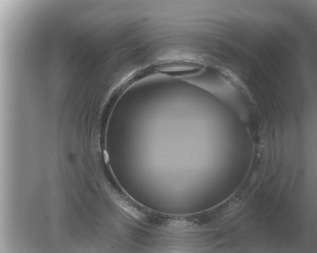 X0000080150399200612221954