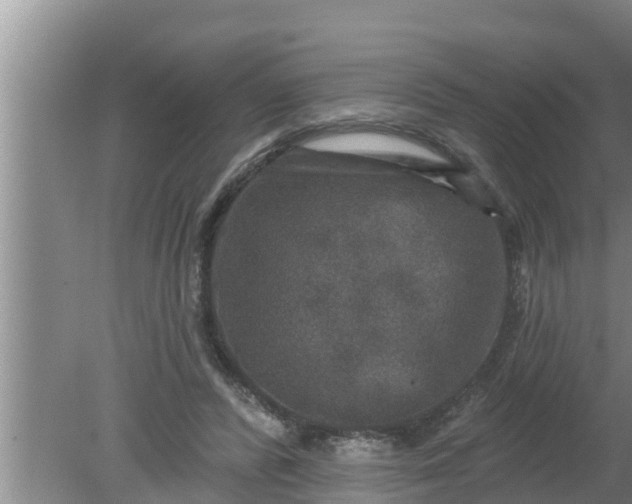 X0000080150400200612221954