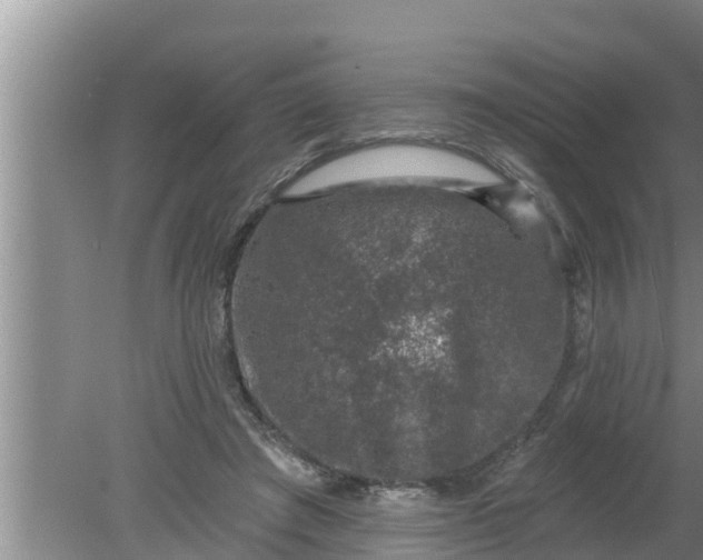 X0000080150401200612221954