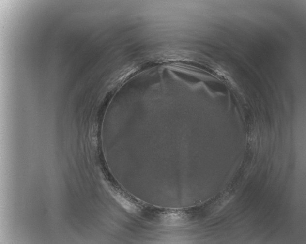 X0000080150402200612221954