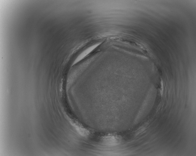 X0000080150404200612221954