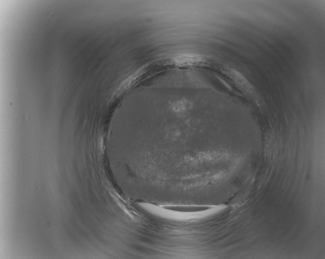 X0000080150405200612221954