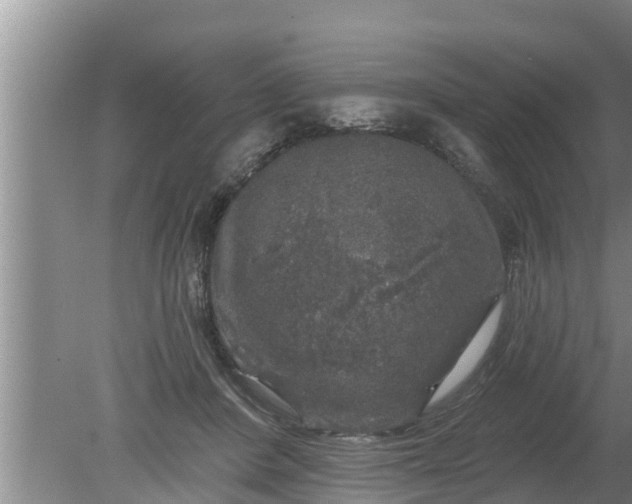 X0000080150408200612221954