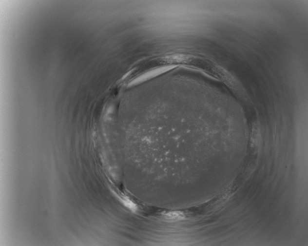 X0000080150409200612221954