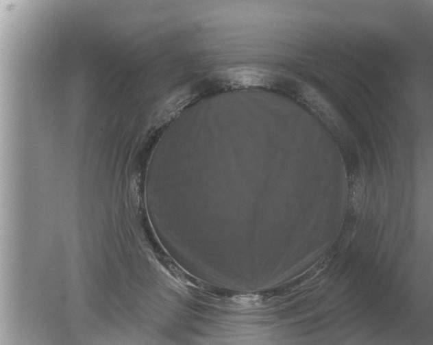 X0000080150410200612221954