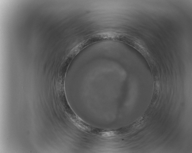 X0000080150411200612221954