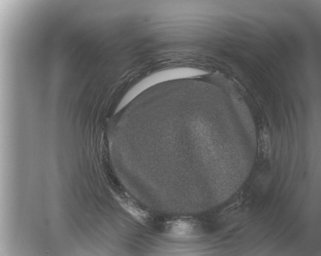 X0000080150412200612221954