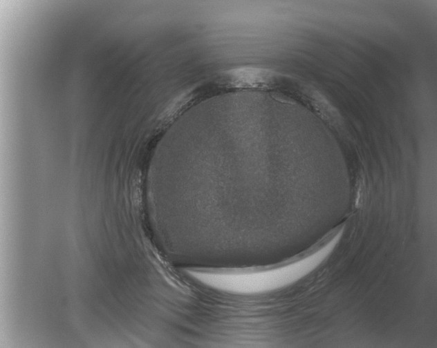 X0000080150413200612221954