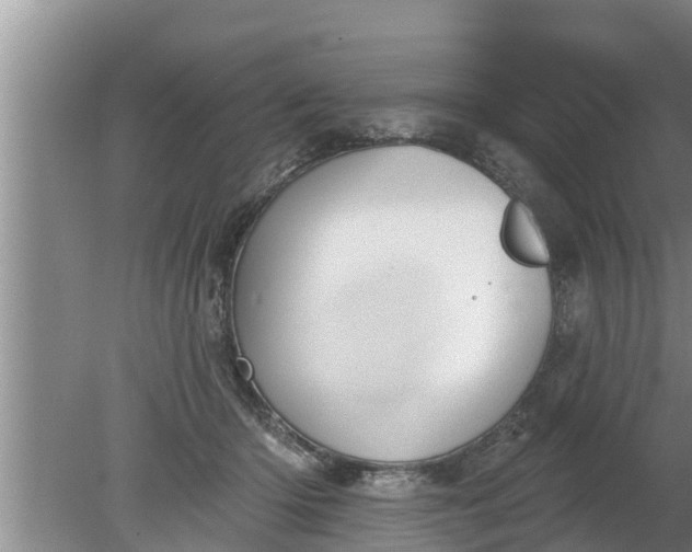 X0000080150414200612221954