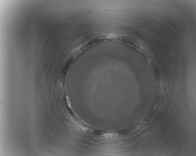 X0000080150415200612221954