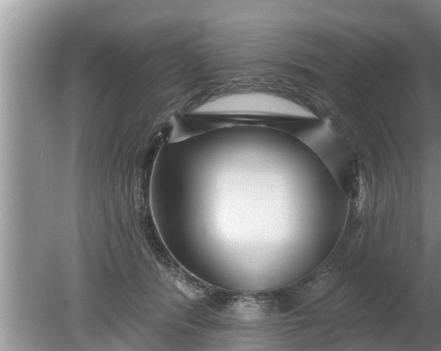 X0000080150416200612221954