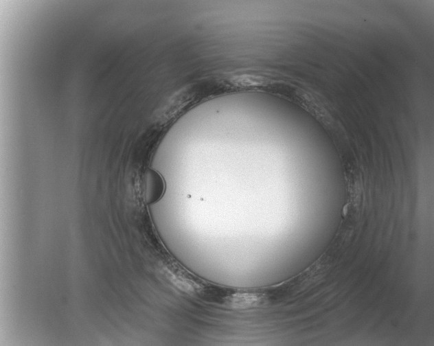 X0000080150418200612221954