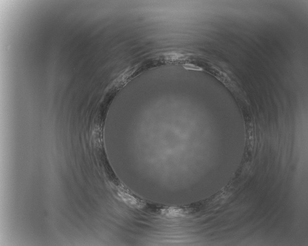 X0000080150419200612221954