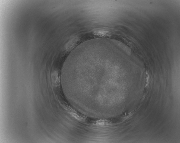 X0000080150420200612221954