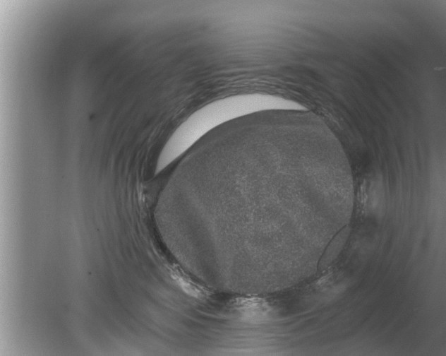 X0000080150424200612221954