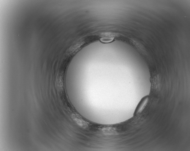 X0000080150426200612221954