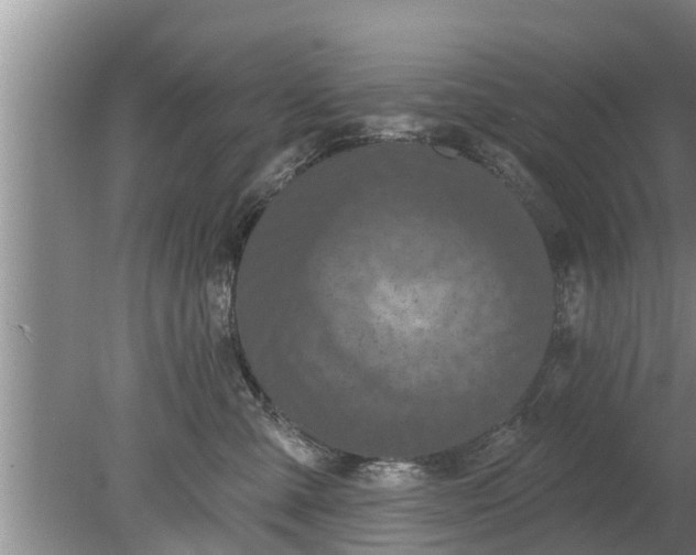 X0000080150427200612221954