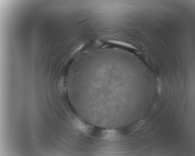 X0000080150428200612221954