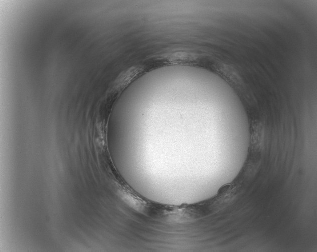 X0000080150430200612221954