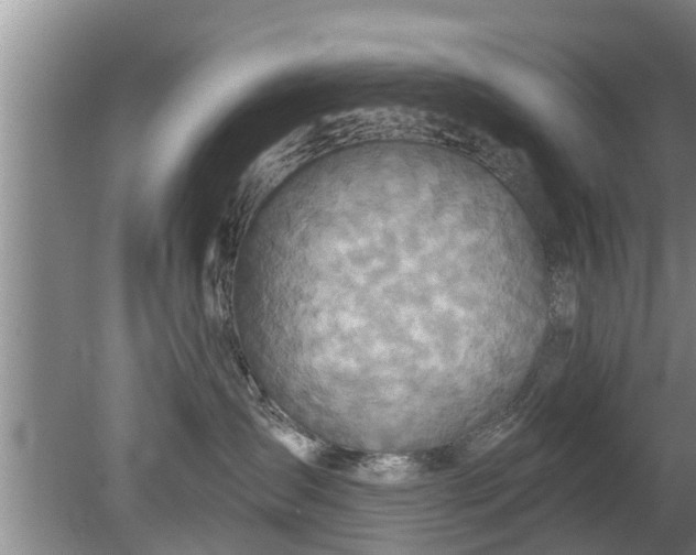 X0000080150431200612221954