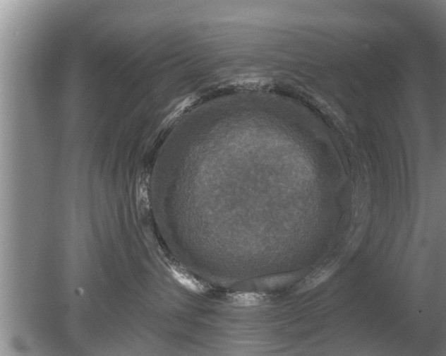 X0000080150432200612221954