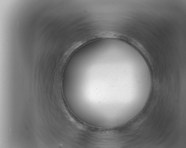 X0000080150433200612221953