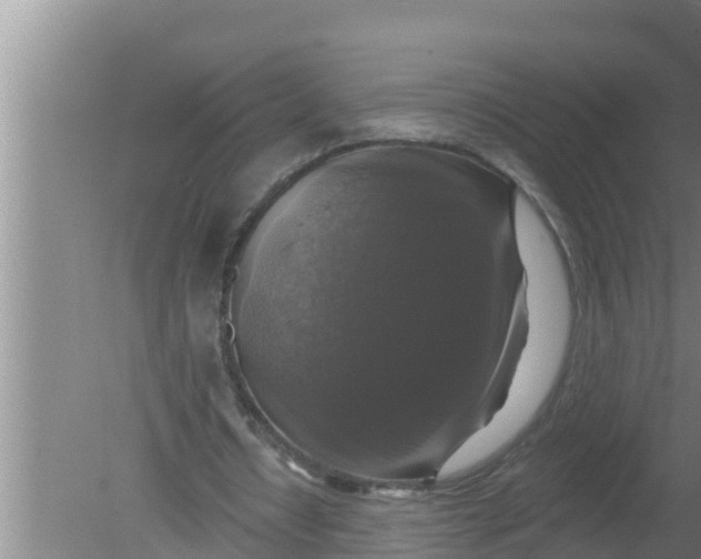 X0000080150434200612221953