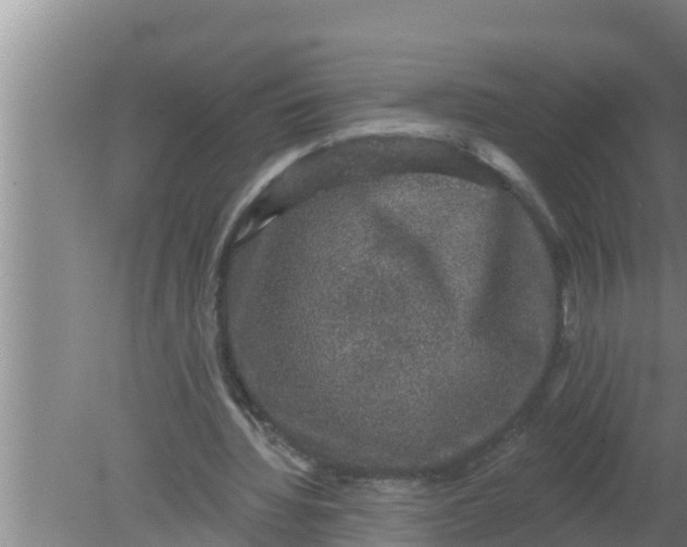 X0000080150436200612221953