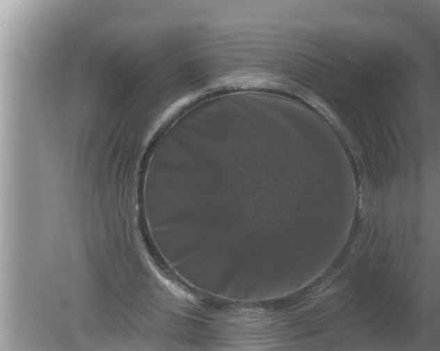 X0000080150438200612221953