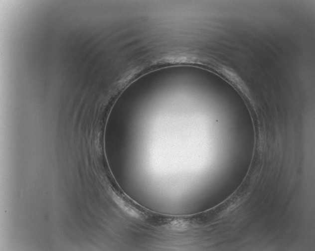 X0000080150441200612221953