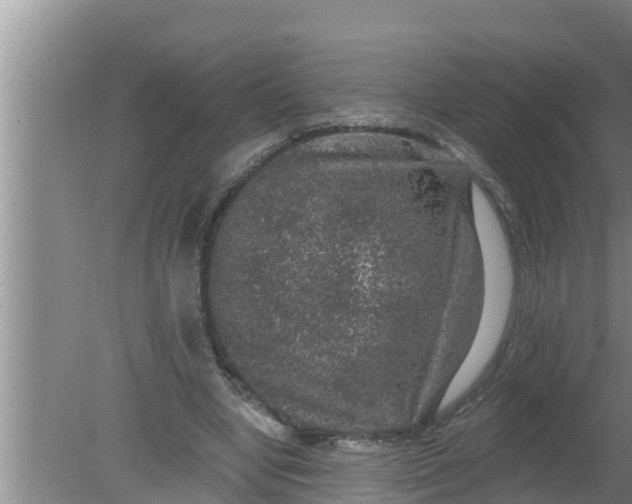 X0000080150442200612221953