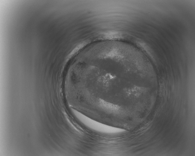 X0000080150443200612221953