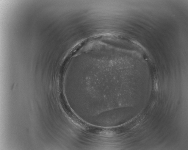 X0000080150444200612221953